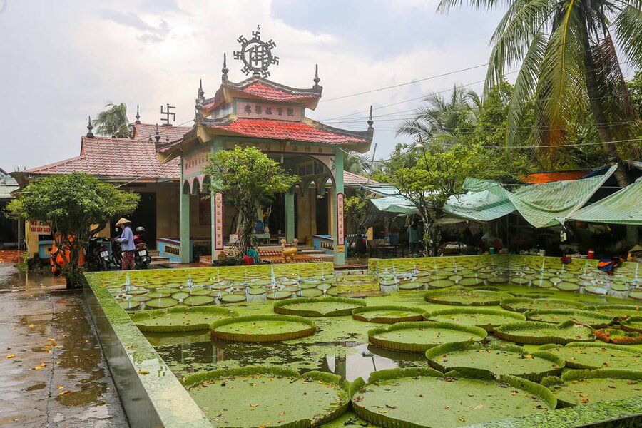 Chùa Lá Sen - Nơi Thiêng Liêng Hội Tụ Phước Kiển Tự và Chùa Phước Kiển Mặn Nồng