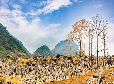 Khám phá vẻ đẹp của tt Tủa Chùa Điện Biên với huyện Tủa Chùa xinh đẹp