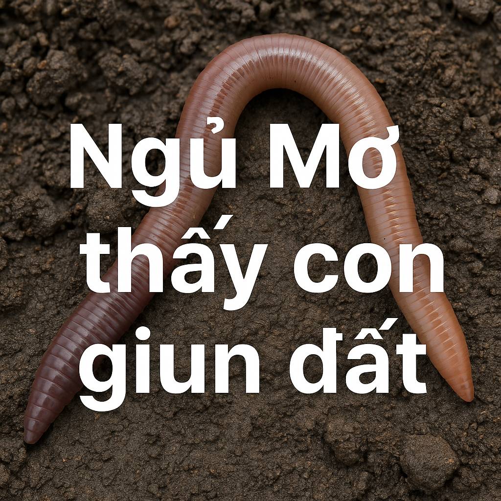 Mơ thấy con giun đất là điềm gì? Đánh số mấy