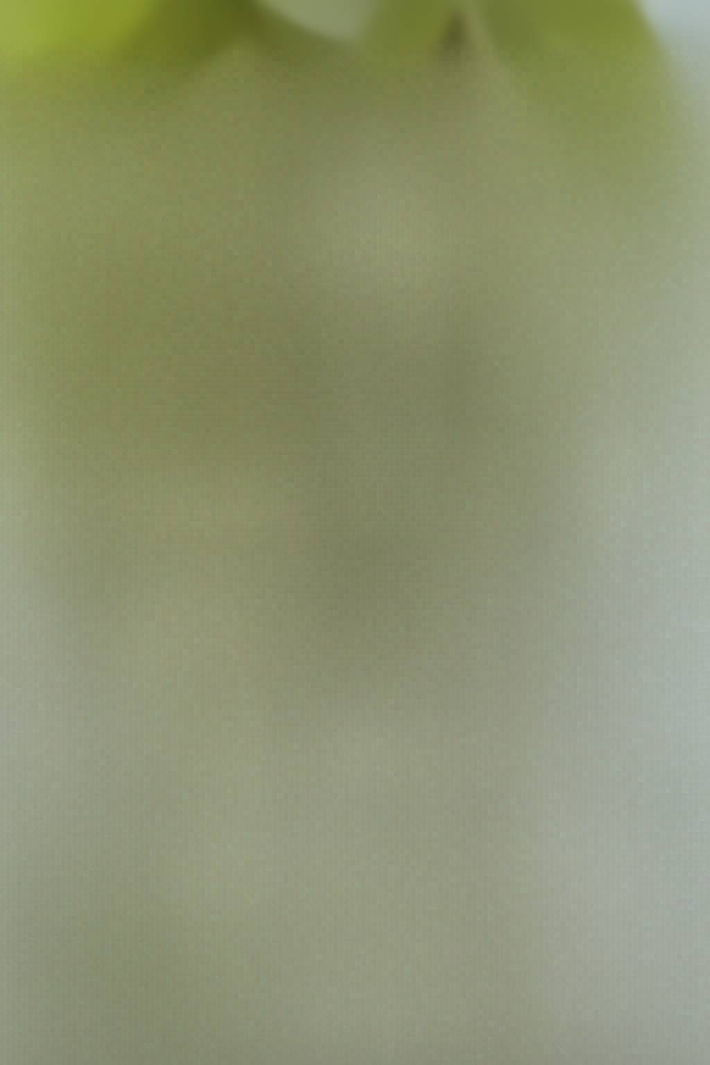 Mơ thấy quả dưa chuột là điềm gì? Đánh số mấy