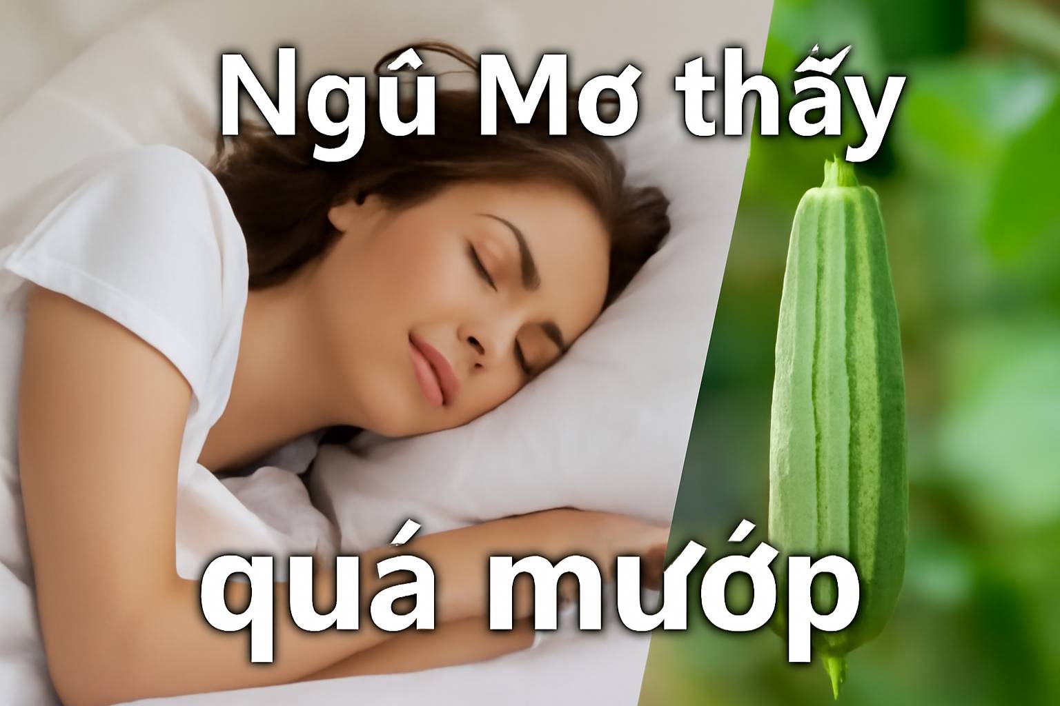 Mơ thấy quả mướp là điềm gì? Đánh số mấy