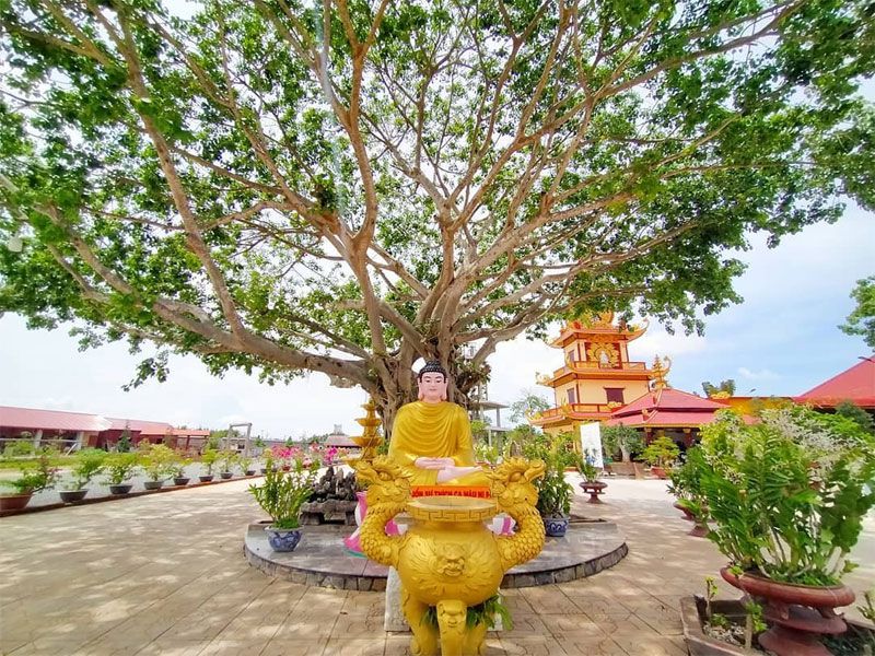 Chùa Vạn Phước Bến Tre - Tiên Cảnh Trần Gian Giữa Xứ Dừa