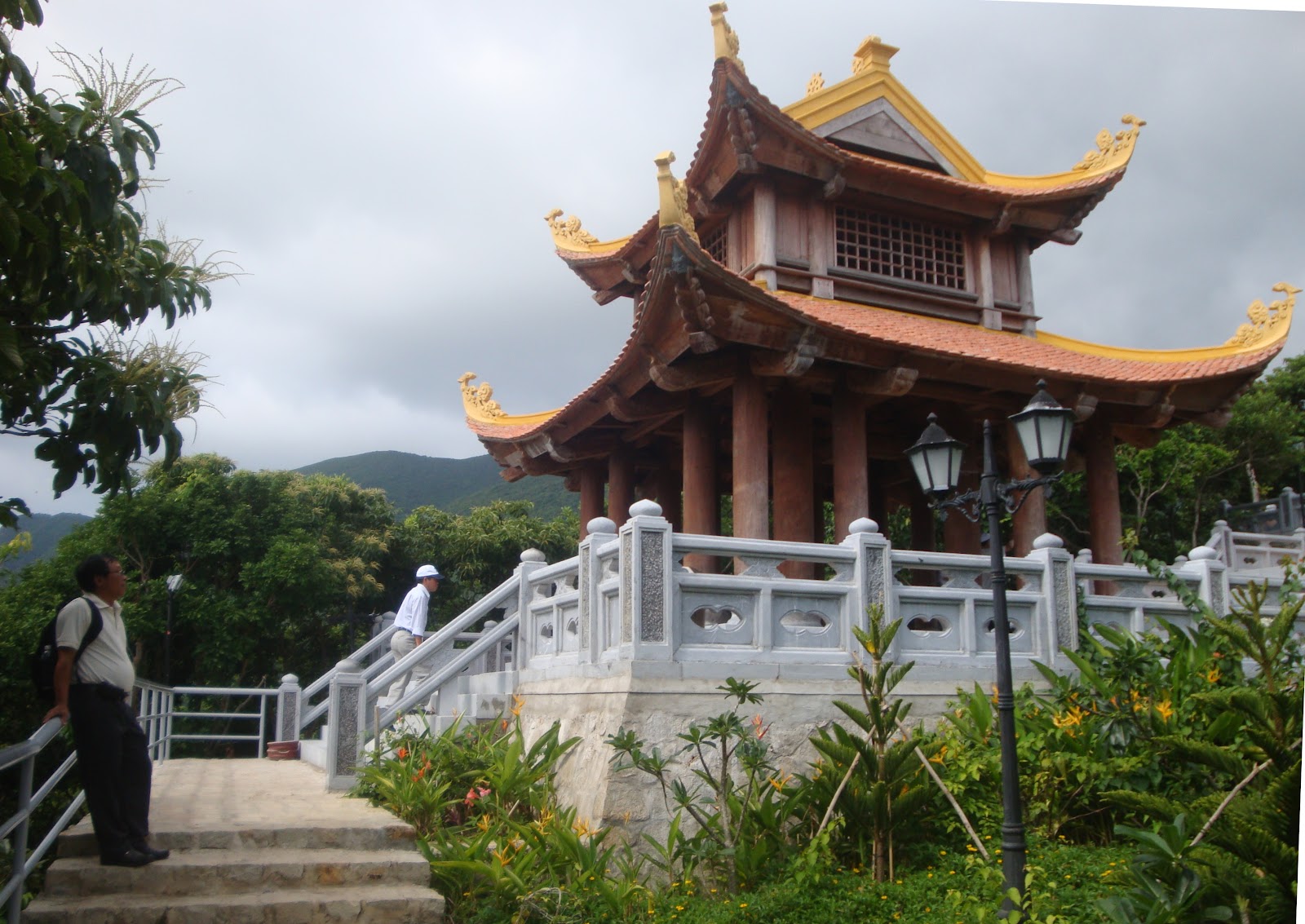 Lê Thạnh: Cây Thiên tuế chùa Vân Sơn – Côn Đảo